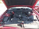 Ford Mustang V6 Premium 1ZVBP8AM9E5284966 снимка