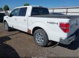 FORD F-150 FX4/KING RANCH/LARIAT/PLATINUM/XL/XLT 1FTPW14V39KA23606 снимка