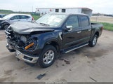 Ford F-150 Xlt 1FTEW3LP5RFA58288 снимка