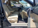 HONDA CR-V LX 5J6RE3H36AL012933 photo