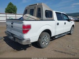 FORD F-150 XLT 1FTFW1CF8DKE71340 снимка