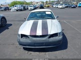 Ford Mustang Gt/Gts 1FALP42T9SF255761 fotografie
