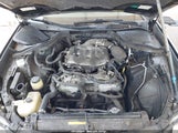 Infiniti M35 JNKAY01E76M100488 снимка