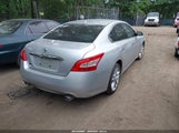 NISSAN MAXIMA 3.5 SV 1N4AA5AP8BC801910 снимка