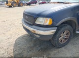 FORD F-150 LARIAT/XLT 1FTRW08L12KD71938 fotografie