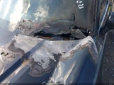 KIA TELLURIDE EX 5XYP34GC5PG383130 снимка