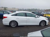 HYUNDAI SONATA SPORT 5NPE34AF3HH556101 снимка