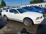 FORD MUSTANG 1ZVFT80NX55112484 снимка