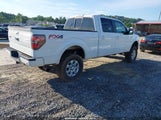 FORD F-150 FX4 1FTFW1ET0EFB72969 снимка
