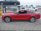 FORD MUSTANG V6 DELUXE/V6 PREMIUM 1ZVHT80N985100100 photo
