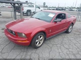 FORD MUSTANG V6 DELUXE/V6 PREMIUM 1ZVHT80N985100100 photo