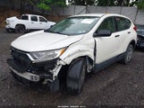HONDA CR-V LX 2HKRW6H39HH203054 снимка