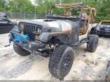 JEEP WRANGLER / YJ S 2J4FY19P9MJ131263 fotografie