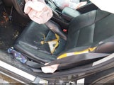 ACURA TSX 2.4 JH4CU2F64AC026415 снимка