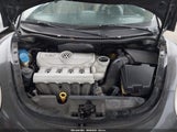 Volkswagen New Beetle 2.5L 3VWPG3AG6AM036603 снимка