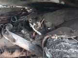 FORD F-250 LARIAT/XL/XLT 1FTNX21F0XEA66495 снимка