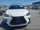 LEXUS NX 350H PREMIUM JTJGKCEZ0R5023051 photo