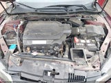 Honda Accord Ex-L V-6 1HGCR3F82FA000880 fotografie