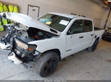 Ram  Big Horn 4X4 5'7 Box 1C6RRFFG9PN527589 fotografie