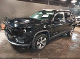 JEEP CHEROKEE LIMITED 4X4 1C4PJMDN8LD534207 снимка
