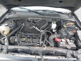 FORD ESCAPE XLS 1FMCU0C77AKD33467 fotografie