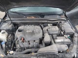 KIA OPTIMA LX KNAGM4A79F5621123 fotografie