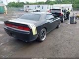 DODGE CHALLENGER SXT 2C3CDYAG8DH617678 fotografie