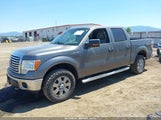 FORD F-150 FX4/HARLEY-DAVIDSON/KING RANCH/LARIAT/PLATINUM/XL/XLT 1FTFW1EV2AFC24453 fotografie