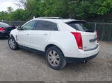 CADILLAC SRX PERFORMANCE COLLECTION 3GYFNBEY0AS563561 снимка