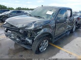 Ford F-150 Xlt 1FTEW1E46KKD43747 снимка
