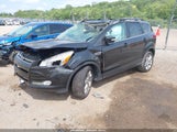 Ford Escape Sel 1FMCU0H9XDUD67468 снимка