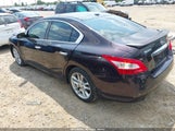NISSAN MAXIMA 3.5 SV 1N4AA5AP0AC847830 снимка