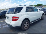 MERCEDES-BENZ ML 350 4MATIC 4JGBB86E97A206650 снимка
