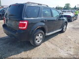 FORD ESCAPE XLT 1FMCU0D7XBKB20139 снимка