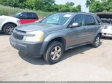 CHEVROLET EQUINOX LS 2CNDL23F356040037 снимка