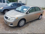 TOYOTA COROLLA XLE 1NXBU40E39Z113281 снимка