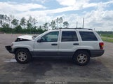 JEEP GRAND CHEROKEE SPORT 1J4GW38S92C253513 photo