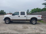 FORD F-350 LARIAT/XL/XLT 1FTWW31P65EB35192 fotografie