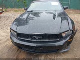 FORD MUSTANG V6 PREMIUM 1ZVBP8EM7B5139351 снимка
