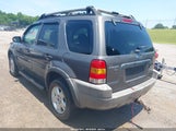 FORD ESCAPE XLT CHOICE/XLT MIDNIGHT/XLT PREMIUM/XLT SPORT 1FMYU04112KC60596 photo