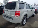 FORD ESCAPE XLT 1FMCU03Z18KD41737 снимка