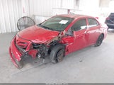 TOYOTA COROLLA L 2T1BU4EE5DC955879 fotografie