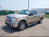 FORD F-150 XLT 1FTFX1ET8DFB90728 снимка