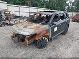 KIA TELLURIDE S 5XYP64HC7LG093178 photo
