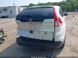 HONDA CR-V LX 5J6RM4H33EL038484 снимка