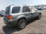 Ford Escape Xlt/Xlt Sport 1FMYU03167KA41724 fotografie
