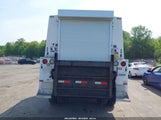 FORD F-350 CHASSIS XL/XLT 1FDWF36P37EB42852 fotografie
