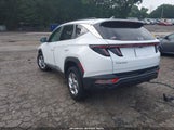 HYUNDAI TUCSON SEL 5NMJBCAE1PH201717 снимка