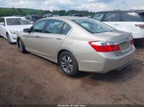 HONDA ACCORD LX 1HGCR2F32DA006223 снимка