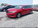 Hyundai Sonata 5NPE24AF2HH501755 снимка